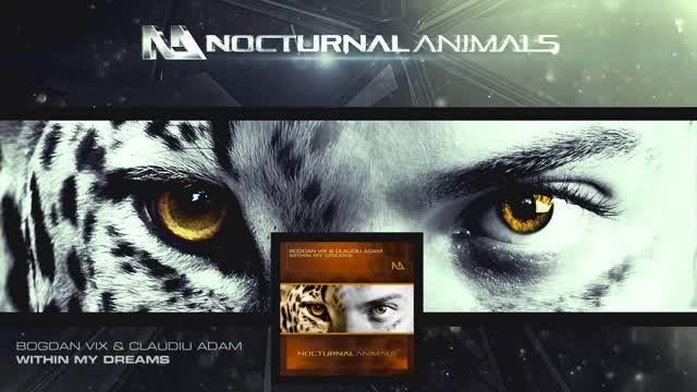 Bogdan Vix & Claudiu Adam - Within My Dreams