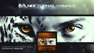 Bogdan Vix & Claudiu Adam - Within My Dreams