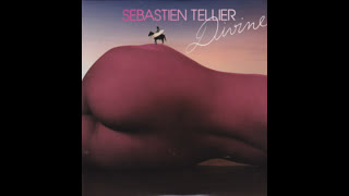 Sebastien Tellier - Divine [Danger Remix Radio Edit Instrumental]