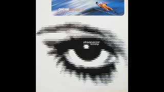 Chicane - Don't Give Up