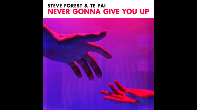 Steve Forest & Te Pai - Never Gonna Give You Up