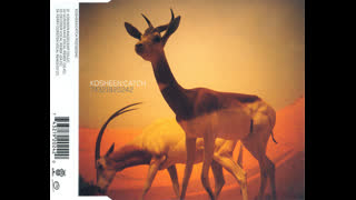 Kosheen - Catch (Ferry Corsten Remix)