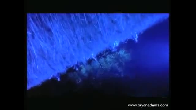 Bryan Adams - Thought I'd Died And Gone To Heaven