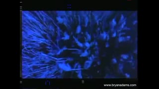 Bryan Adams - Thought I'd Died And Gone To Heaven