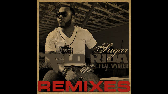 Flo Rida - Sugar [Feat. Wynter] [Mondotek Remix]