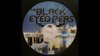 Black Eyed Peas - I Gotta Feeling [Damien N Drix Remix]