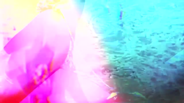 Crystal Fighters - Plage