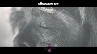 Ciro Visone & Rita Visone - The Boy Forever (Original Mix) 