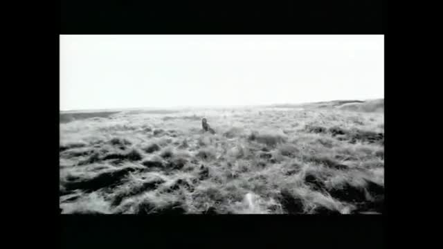 Lighthouse Family - High