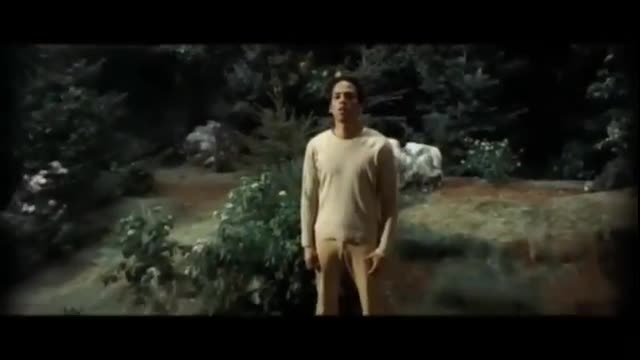 Xavier Naidoo - Sie sieht mich nicht