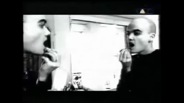 The Free - Dance The Night Away