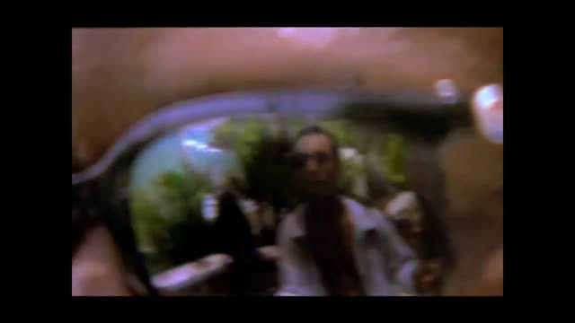 Aswad - Shine (Official Music Video)