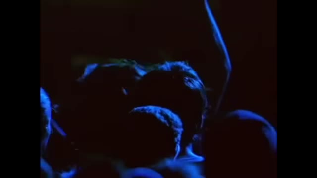 Red Hot Chili Peppers - Snow (Hey Oh)