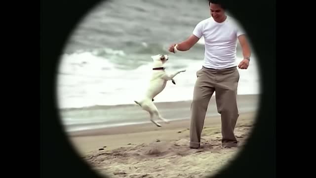 Blink-182 - All The Small Things