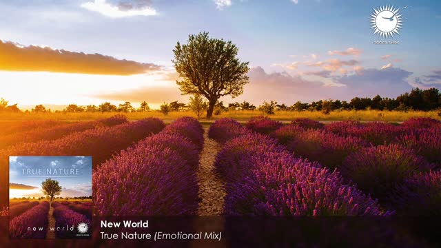New World - True Nature (Emotional Mix)
