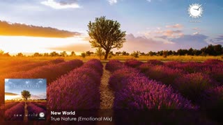 New World - True Nature (Emotional Mix)