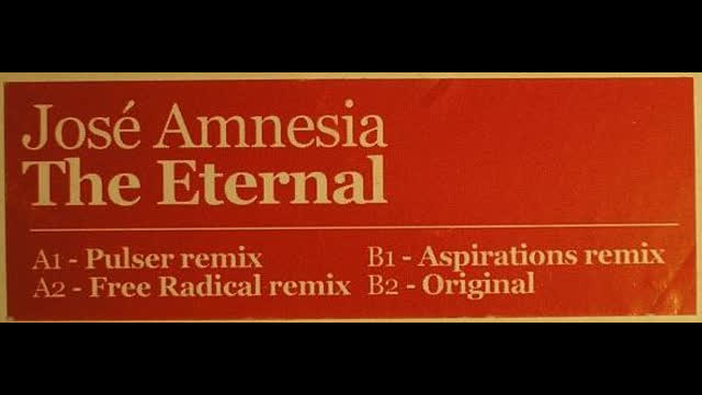 Jose Amnesia - The Eternal [Pulser Mix Promo Vinyl]
