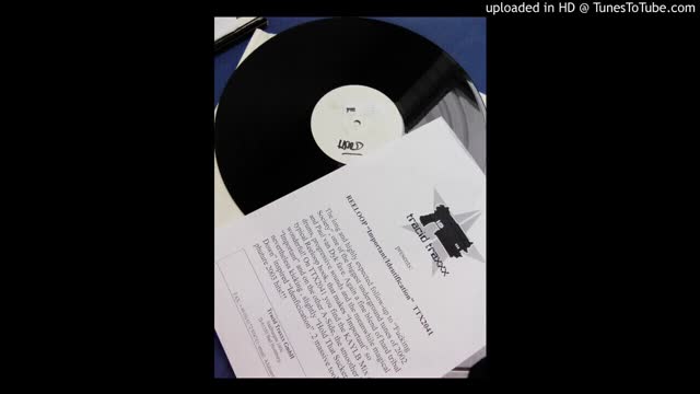 Reeloop - Important (Kaylab Mix)