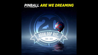 Pinball - Are We Dreaming (Single Mix)