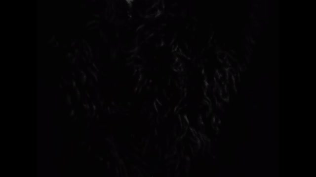 Faithless - Insomnia