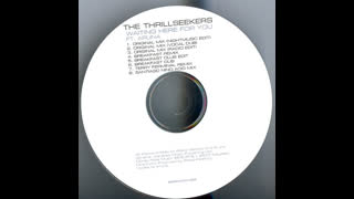 The Thrillseekers - Waiting Here For You [Night Music Vocal Edit]