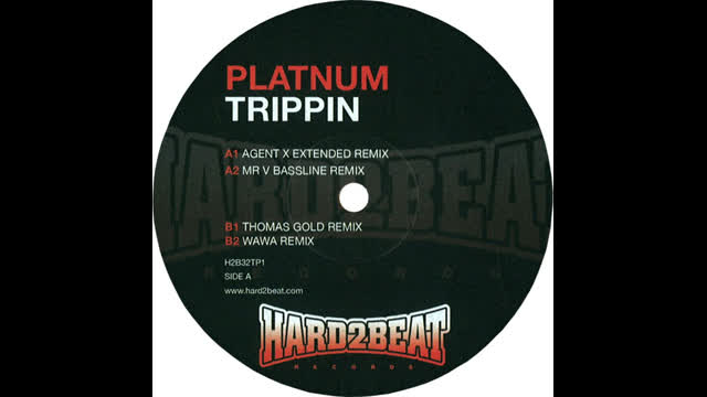 Platnum - Trippin [Wawa Remix]