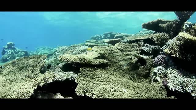 Ferry Corsten presents Gouryella - Anahera 