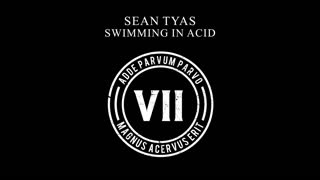 Sean Tyas - Swimming In Acid
