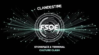 Stoneface & Terminal - Culture Clash