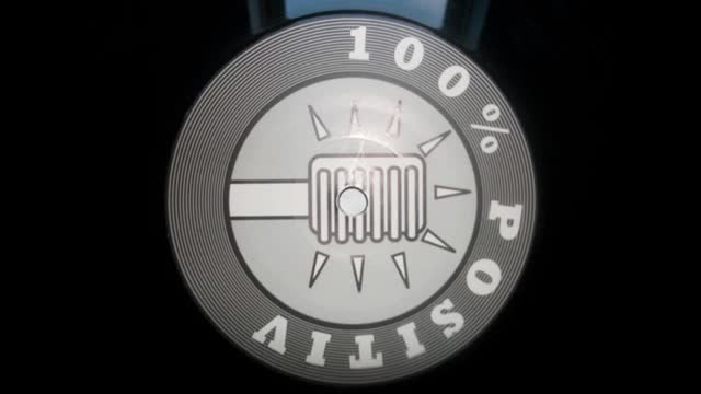 Die Deutsche Reimachse (D.D.R.) - 100% Positiv