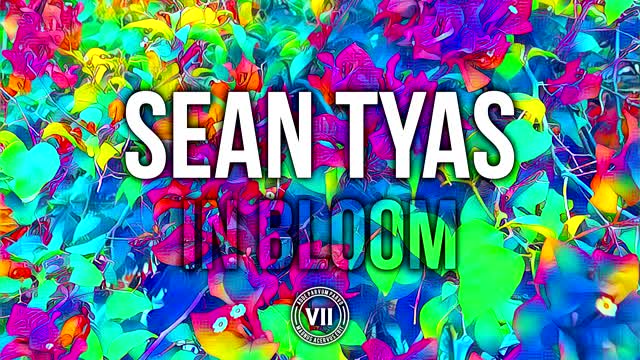 Sean Tyas - In Bloom