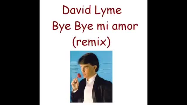 David Lyme - Bye bye mi amor (Remix)