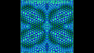 Intra Frekish Void - Synaptic Collapse
