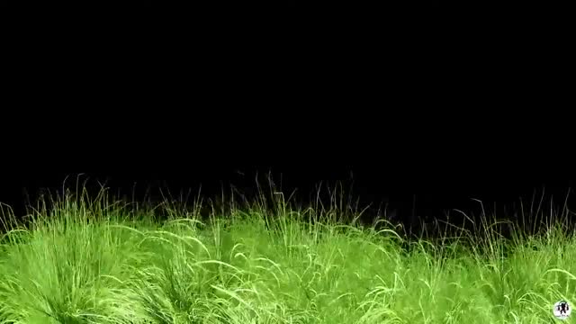 M.C. Sar & The Real McCoy - Don't Stop (DJ SHABAYOFF RMX 2019)