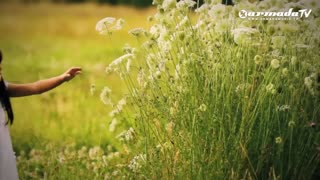 Aly & Fila feat. Jwaydan - We Control The Sunlight