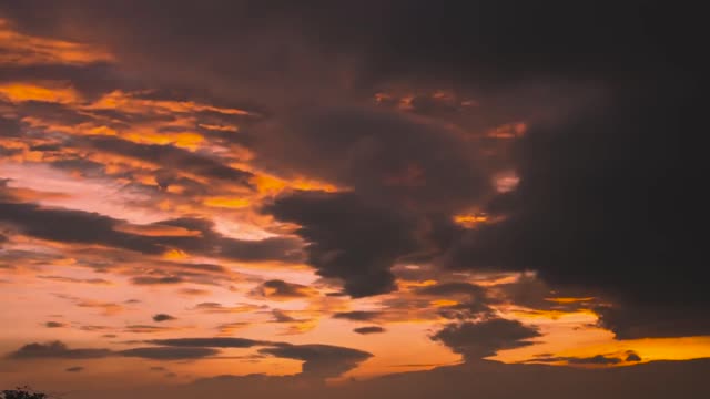 Will Atkinson - Didgeridoo