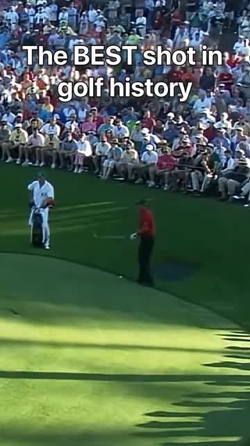 The_BEST_shot_in_golf_history_1080P