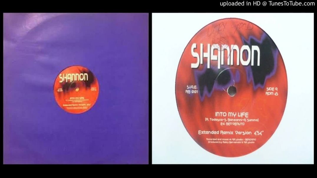 Shannon ‎– Into My Life (Extended)