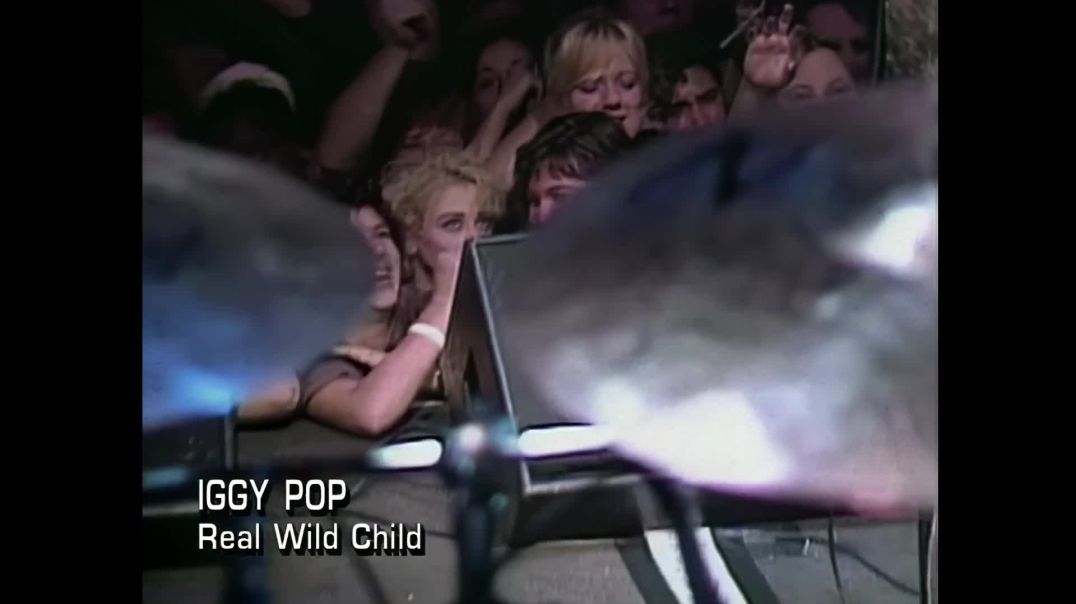 Iggy Pop - Real Wild Child (Wild One))