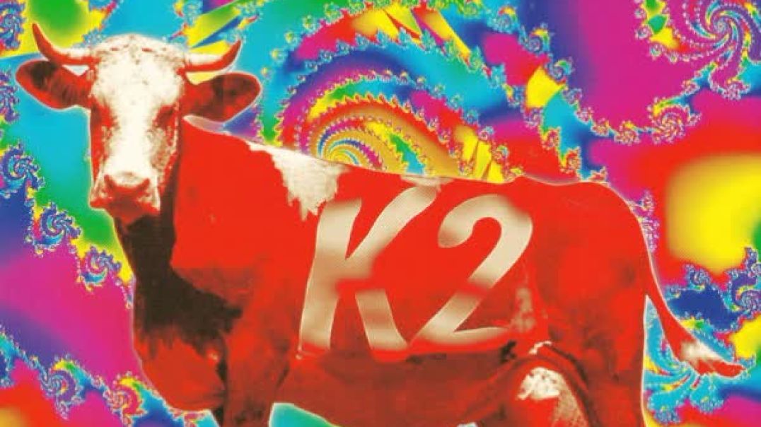 K2 - Die Nachtigall Singt (Original-Mix)