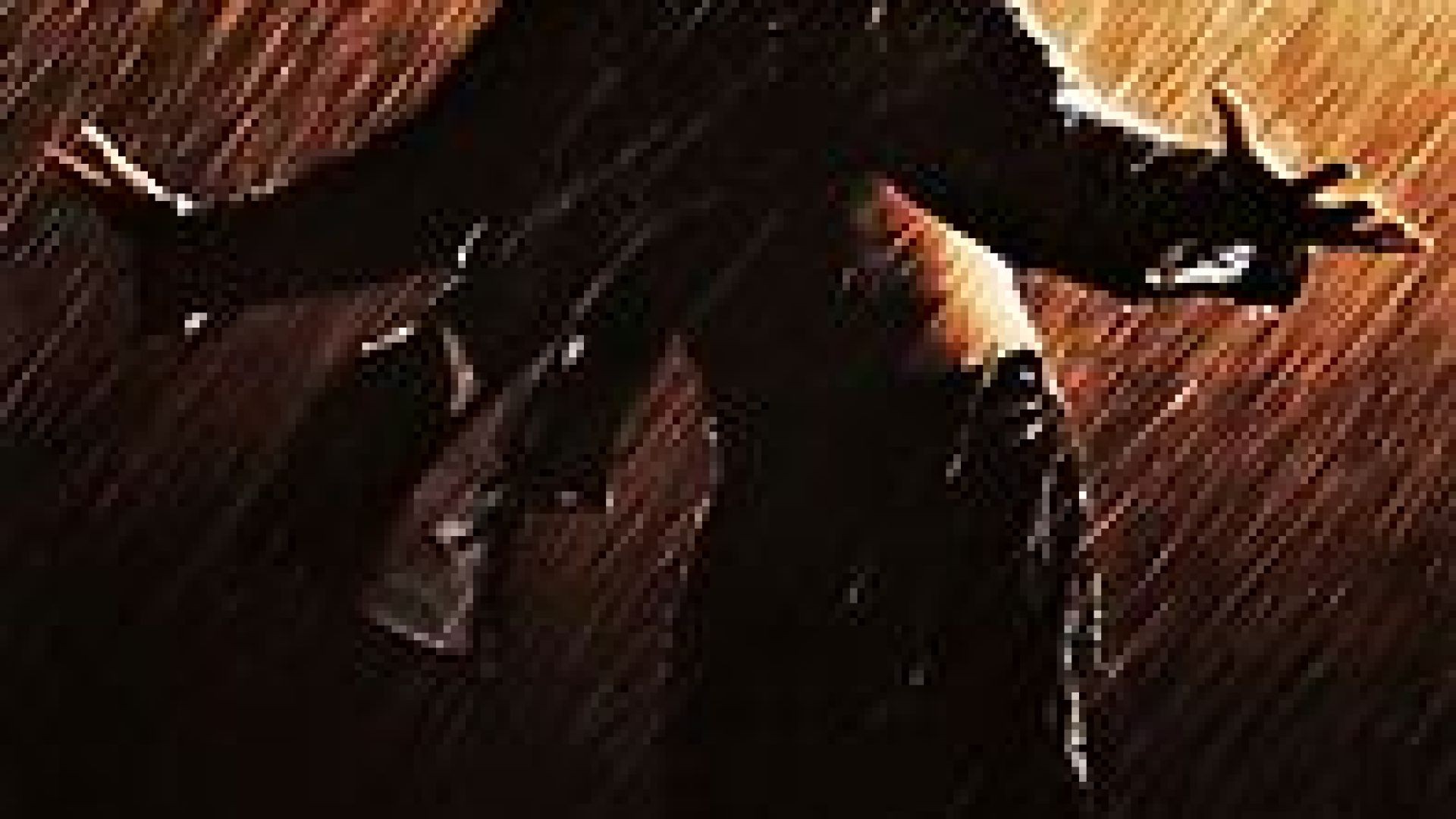 The Shawshank Redemption (1994)