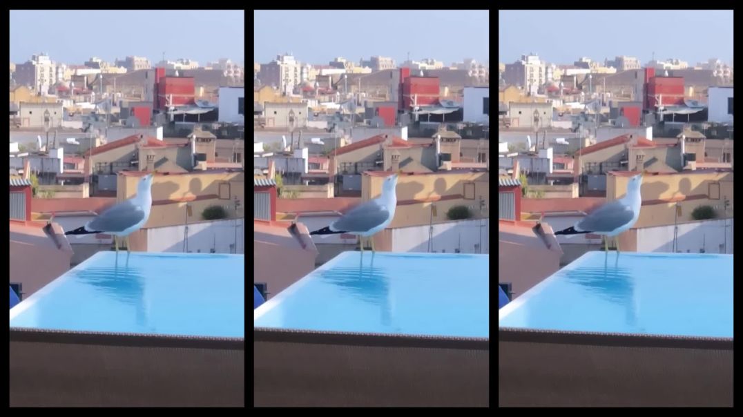 Felix Jaehn feat. Sarah Barrios - NOW'S A GOOD TIME TO BE