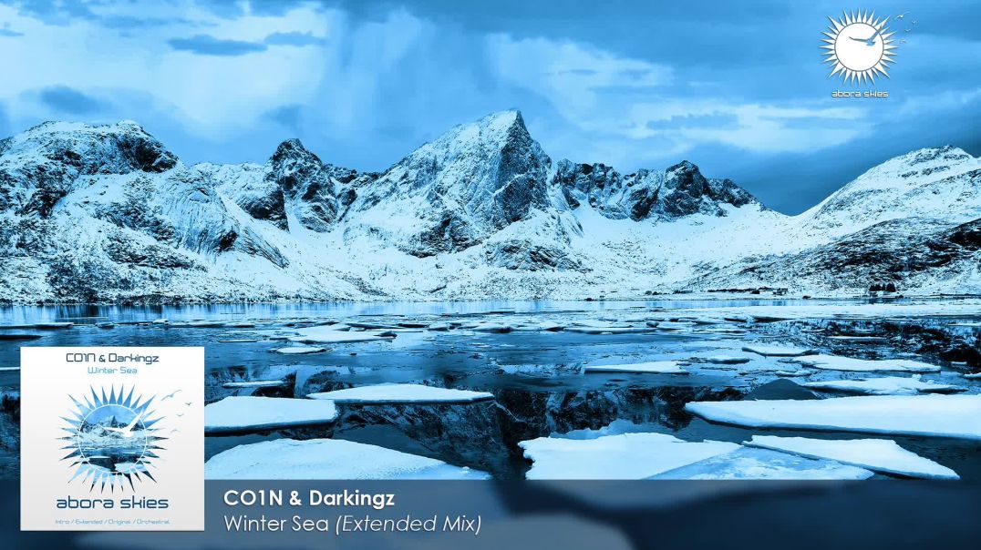 CO1N & Darkingz - Winter Sea (Extended Mix)
